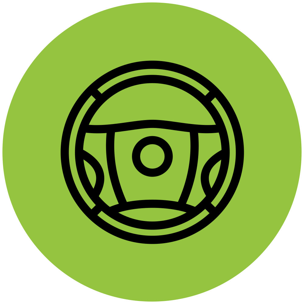 volante-icon